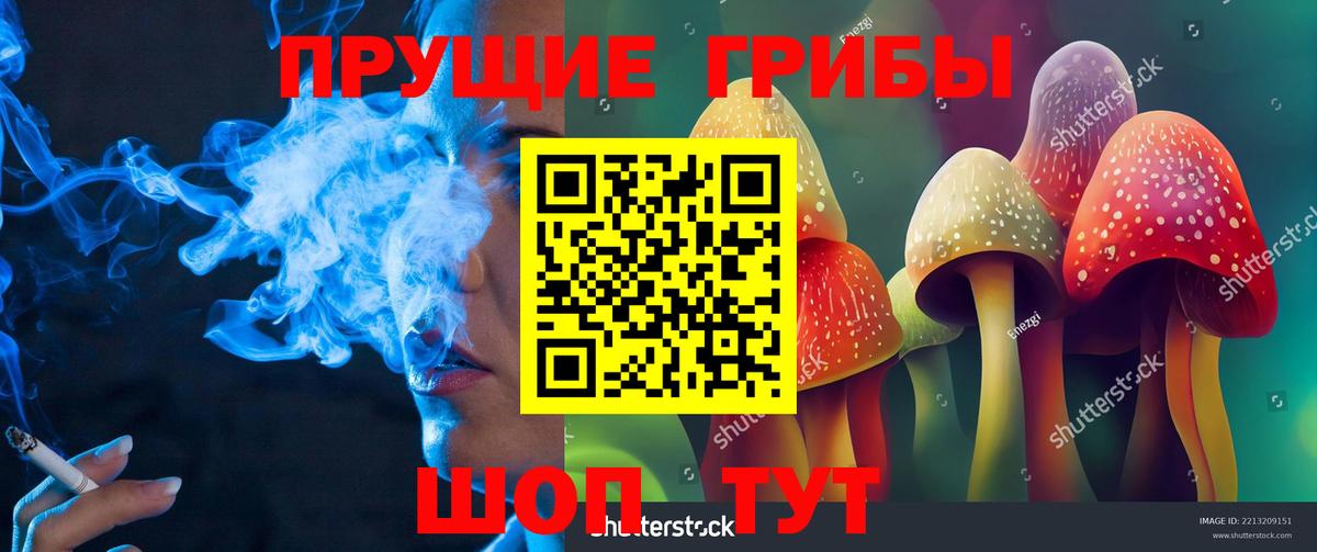 Выкса  Галлюциногенные грибы GOLDEN TEACHER  купить наркоту  Вход с VPN 